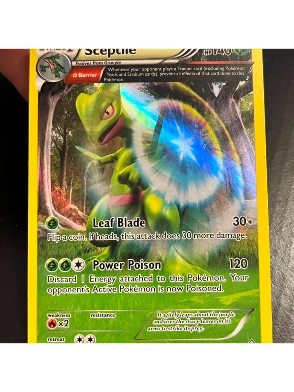 Sceptile 9/160 Holo Rare Primal Clash 2015 Vintage Omega Barrier